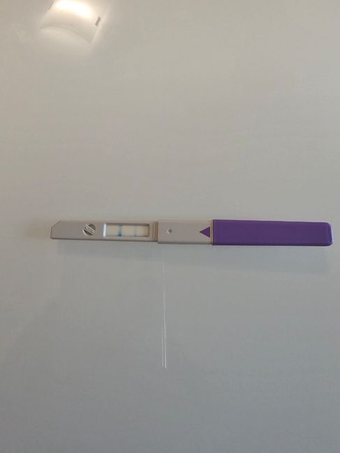 Chi non le aspetta per Settembre 2023 - 1