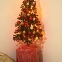 Avete mai fatto l'albero insieme? - 1