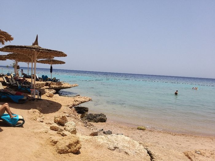 Luna di miele destinazione??  - 7