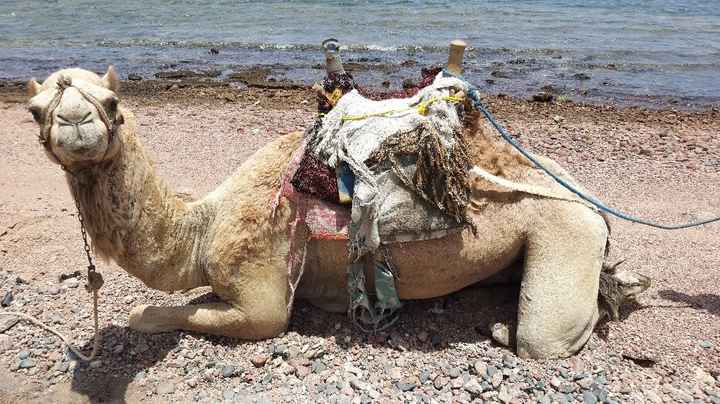 Luna di miele destinazione??  - 1