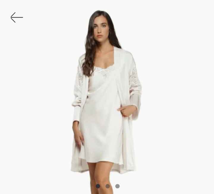 Sottoveste e vestaglia - 1