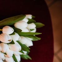 Bouquet di tulipani a Settembre - 1