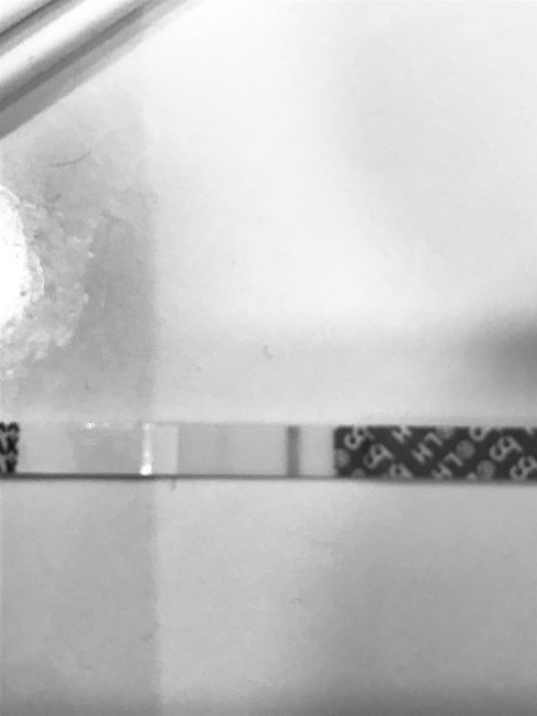 Chi non le aspetta per luglio 2020 🍀🐞🤞🌈🌻 - 1