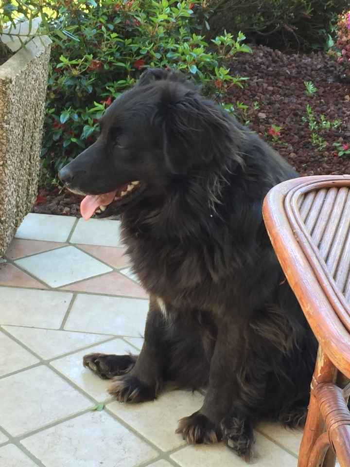 Il mio amoreeeeee - 1