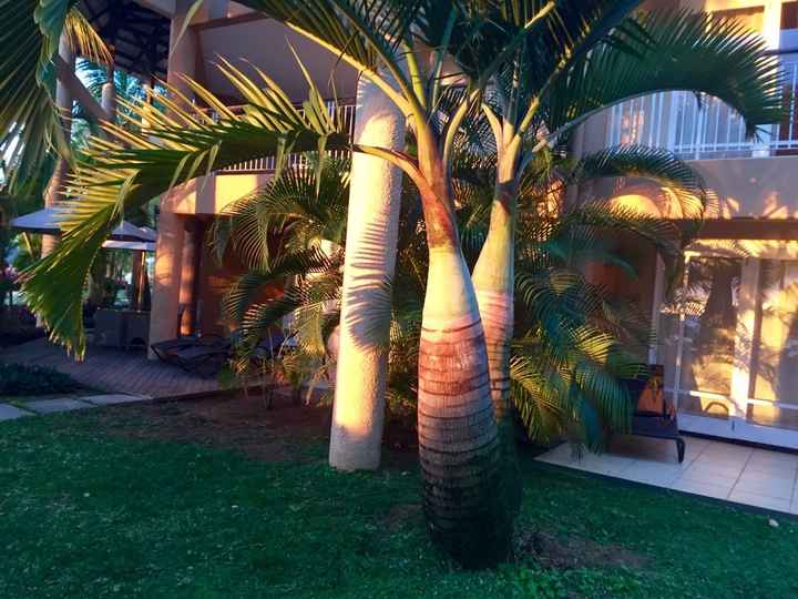 Destinazione paradiso... - 7