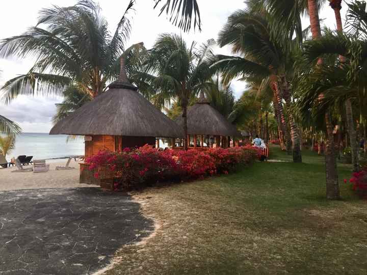 Destinazione paradiso... - 8