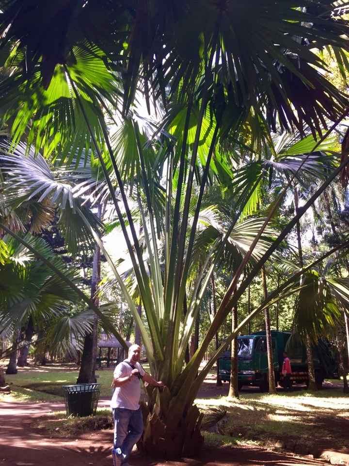 Destinazione paradiso... - 15