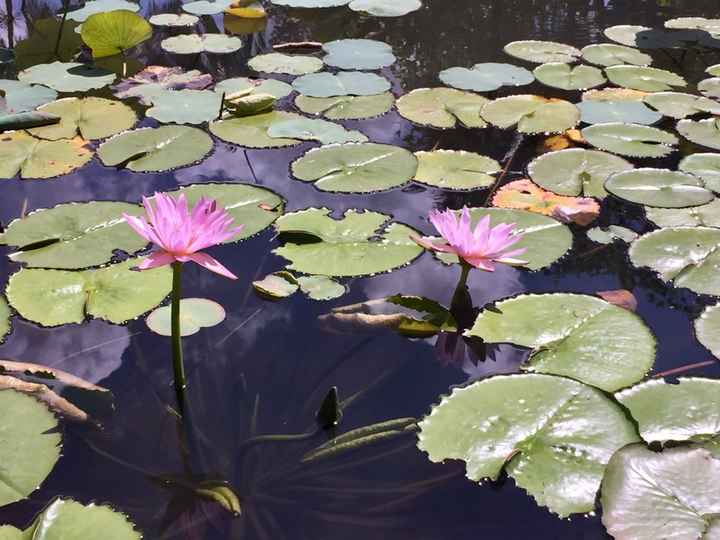 Destinazione paradiso... - 17