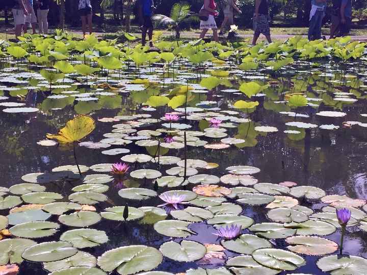 Destinazione paradiso... - 18