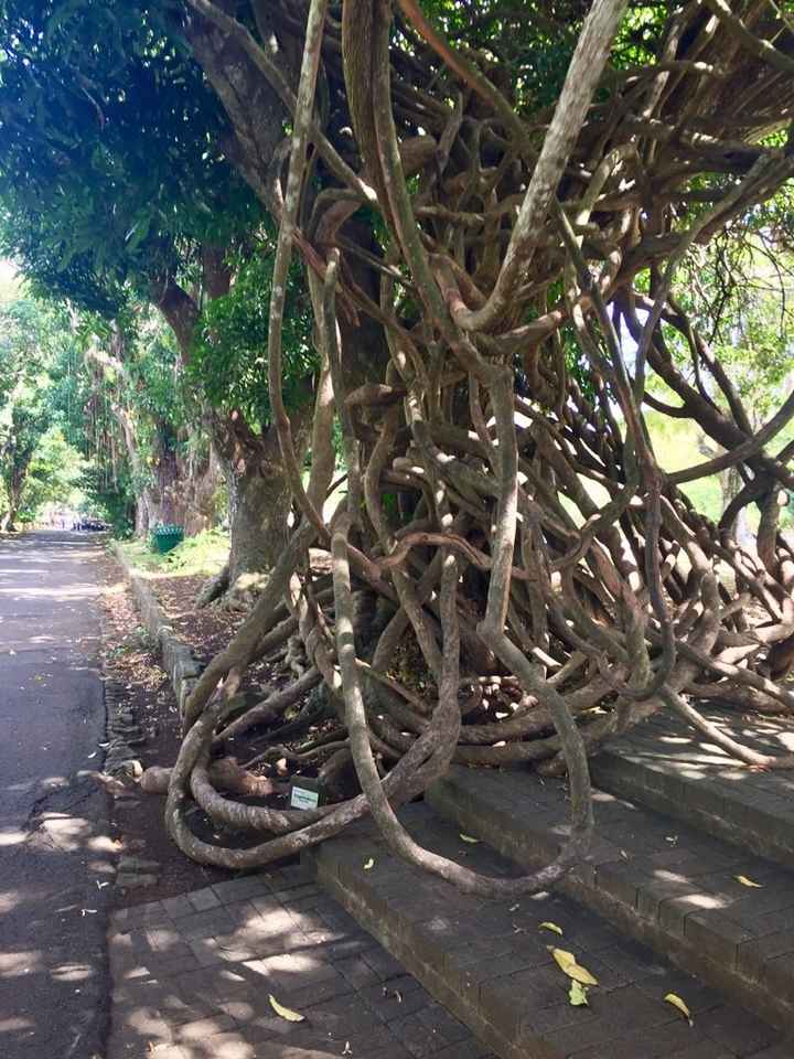 Destinazione paradiso... - 19