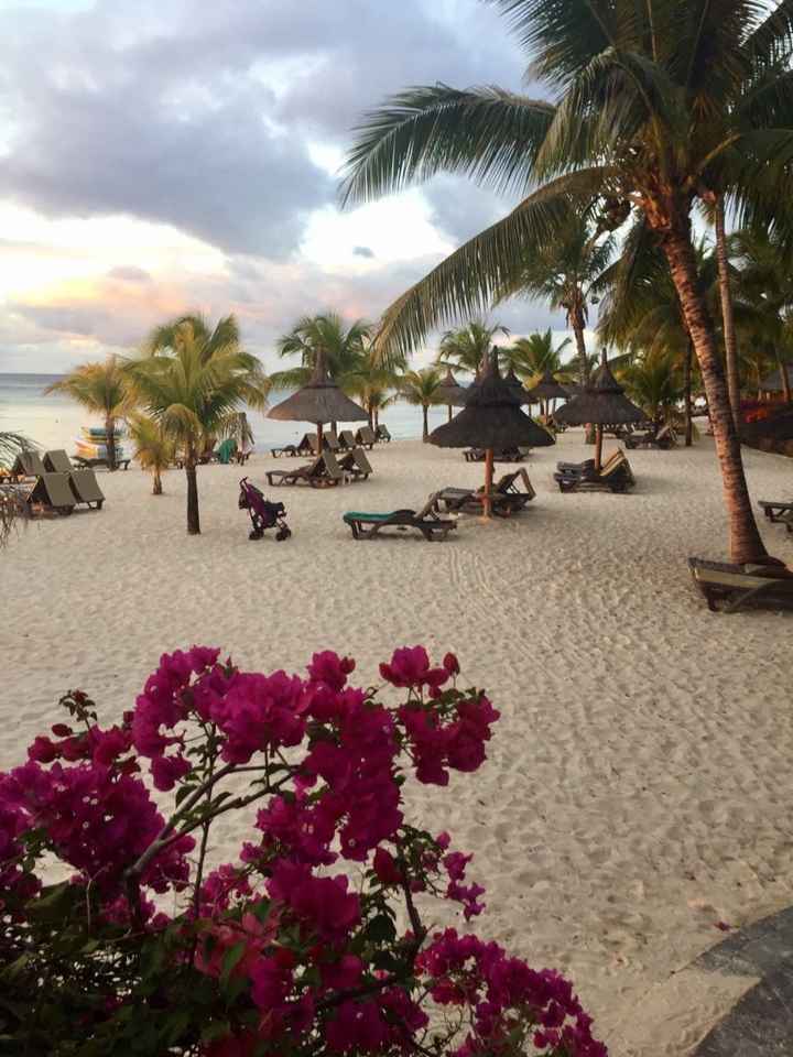 Parliamo di mauritius - 7