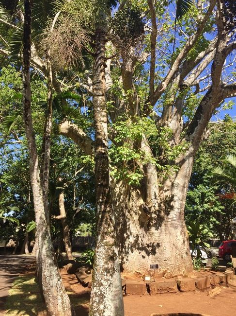 Destinazione paradiso... - 16