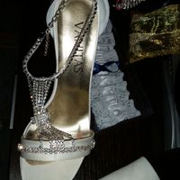 anke le scarpe vanitas