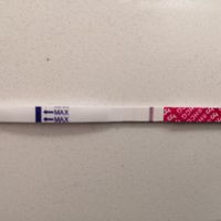 Chi non le aspetta per novembre 2019 - 1