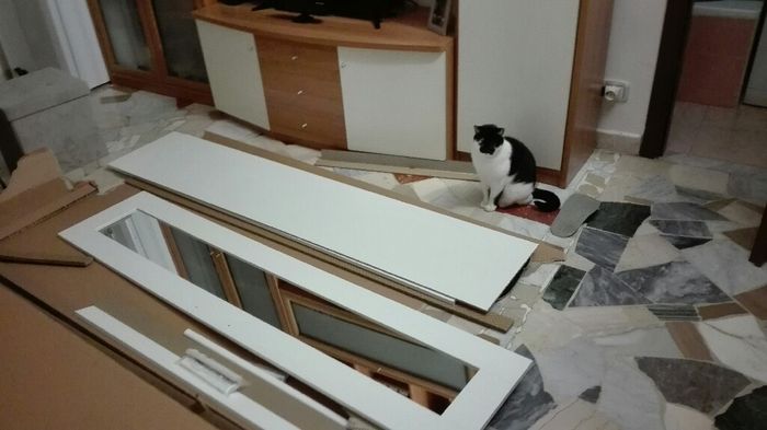  Settimana proficua - 1