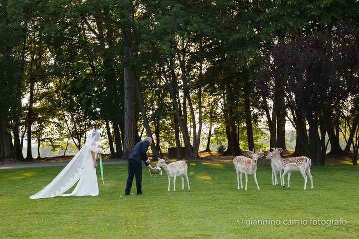 giardino della villa