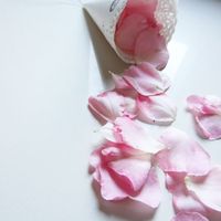 Lancio petali di rosa