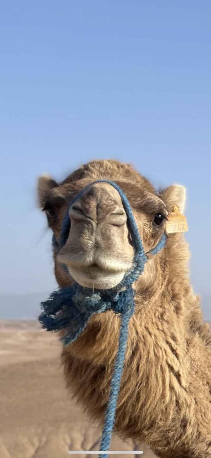 Addio al nubilato "marrakech" della mia migliore amica...è stato tutto meraviglioso - 14