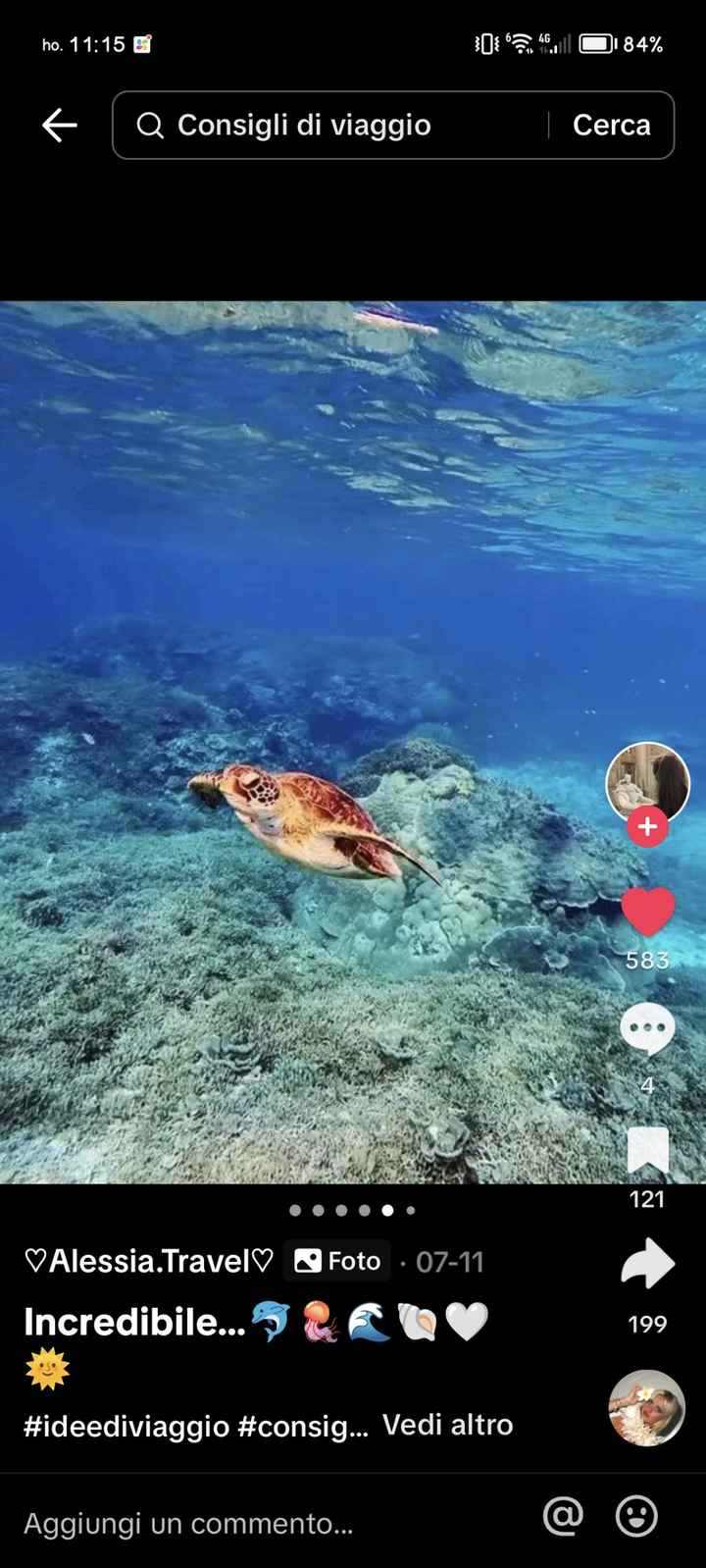 Viaggio di nozze - 4