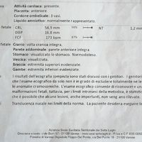 Traslucenza nucale - 1