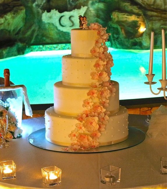 Quale torta preferite - 1