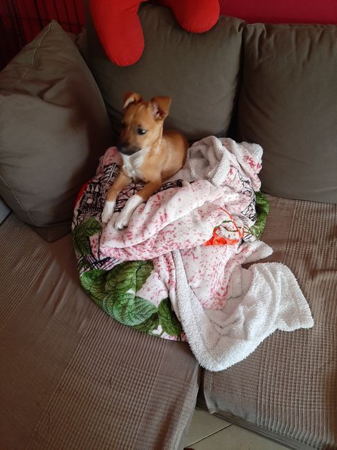 💙💜future mamme di Maggio 2022💙💜 - 1