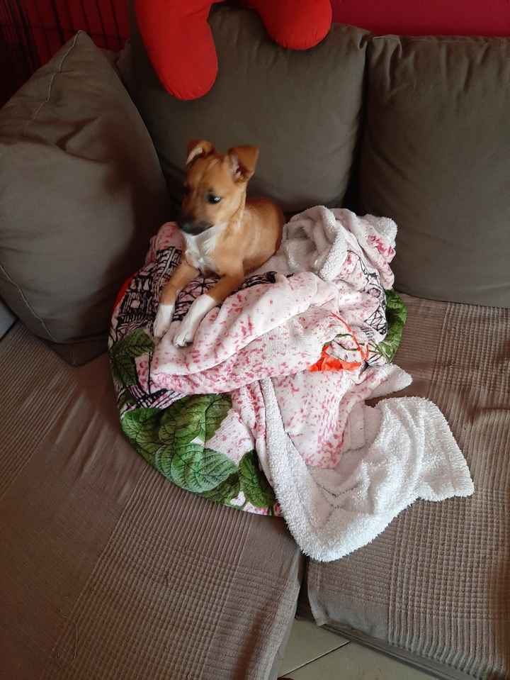 💙💜future mamme di Maggio 2022💙💜 - 1