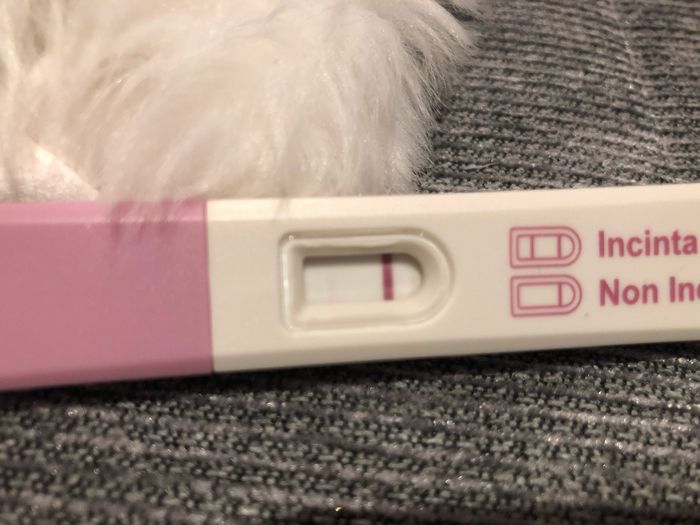 Ragazze aiuto,e’ una ghost line? - 1