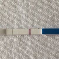 Ghost o positivo?ci si può fidare di questi test? - 1