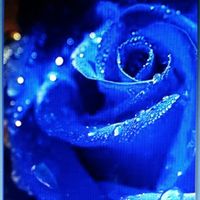 Hai già scelto il colore delle tue nozze? - 1