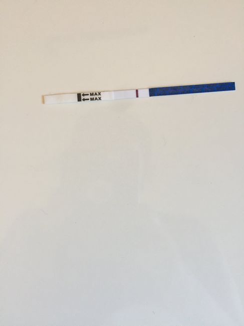 Test di gravidanza... Ghost line o no? 1