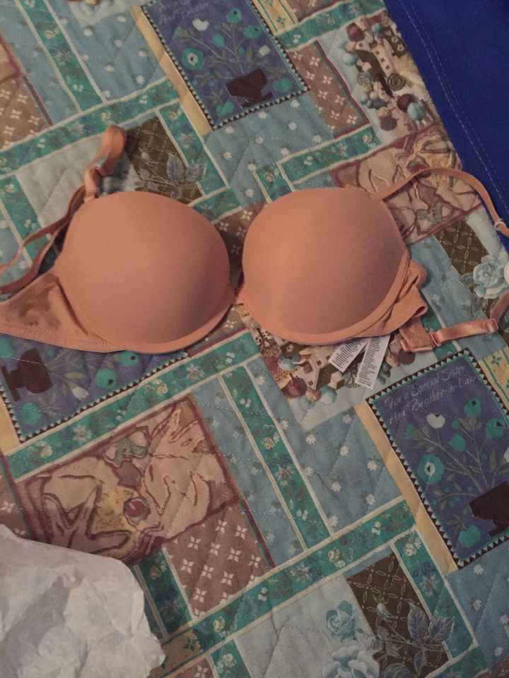 Reggiseno - 1