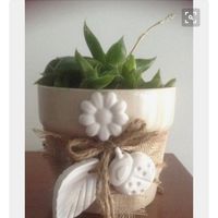 Bomboniere piantine grasse - 2