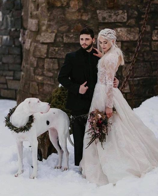 Matrimonio tema "trono di spade" - 7