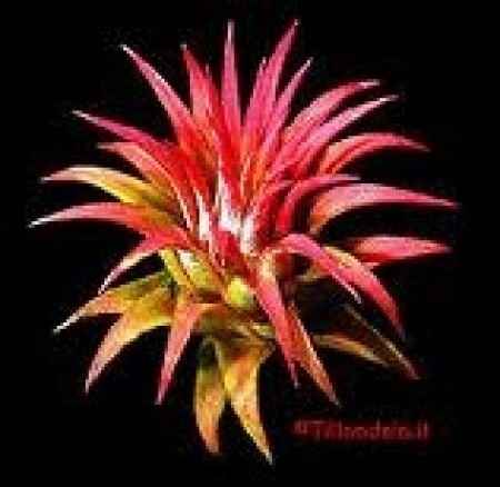 Secondo voi ce la faccio con 8.000 €?! - 1