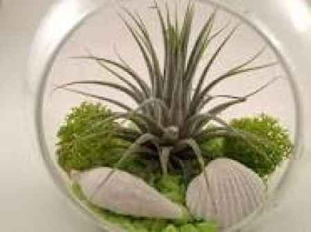 Secondo voi ce la faccio con 8.000 €?! - 4