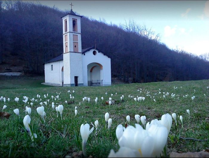 Una vita per incontrarsi, non voler più lasciarsi...la nostra storia!! 2