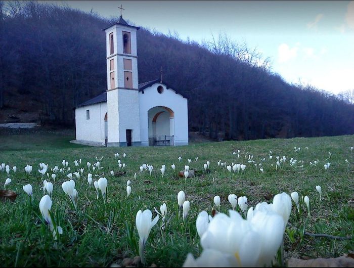 Una vita per incontrarsi, non voler più lasciarsi...la nostra storia!! - 2