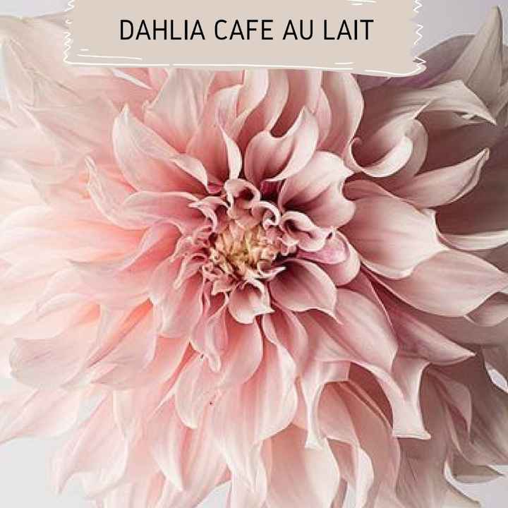 Il bouquet e le sue forme! - 1