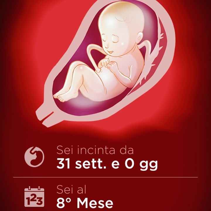 OTTO MESI!