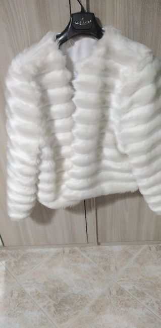 Sta bene questa pelliccia con il vestito? - 1