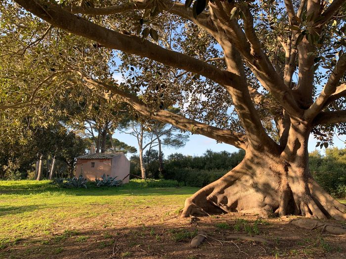 Abbiamo prenotato per la 3ª volta 🤣 - 7