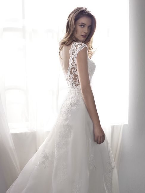 San Patrick - Lilien