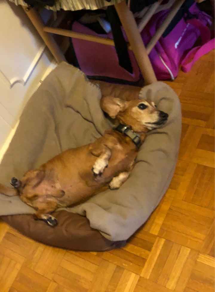 Collaboratori pelosi ❤️ - 1