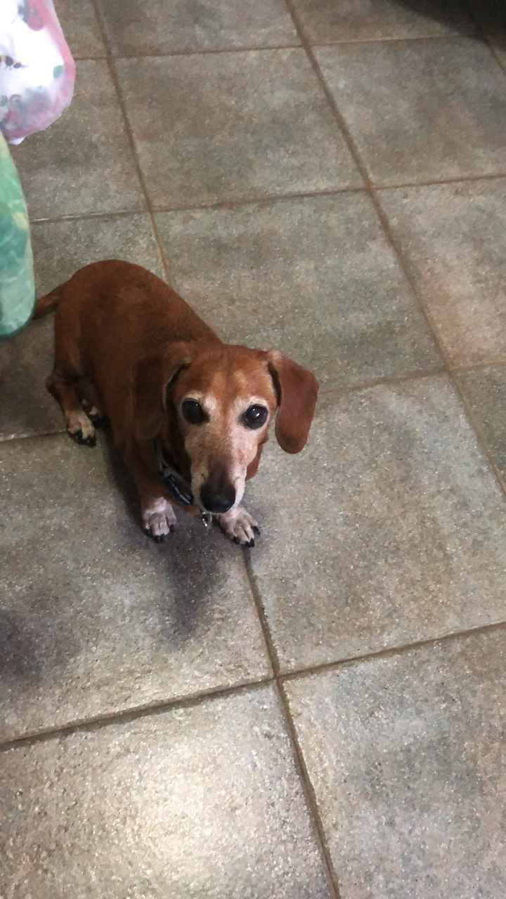 Collaboratori pelosi ❤️ - 2