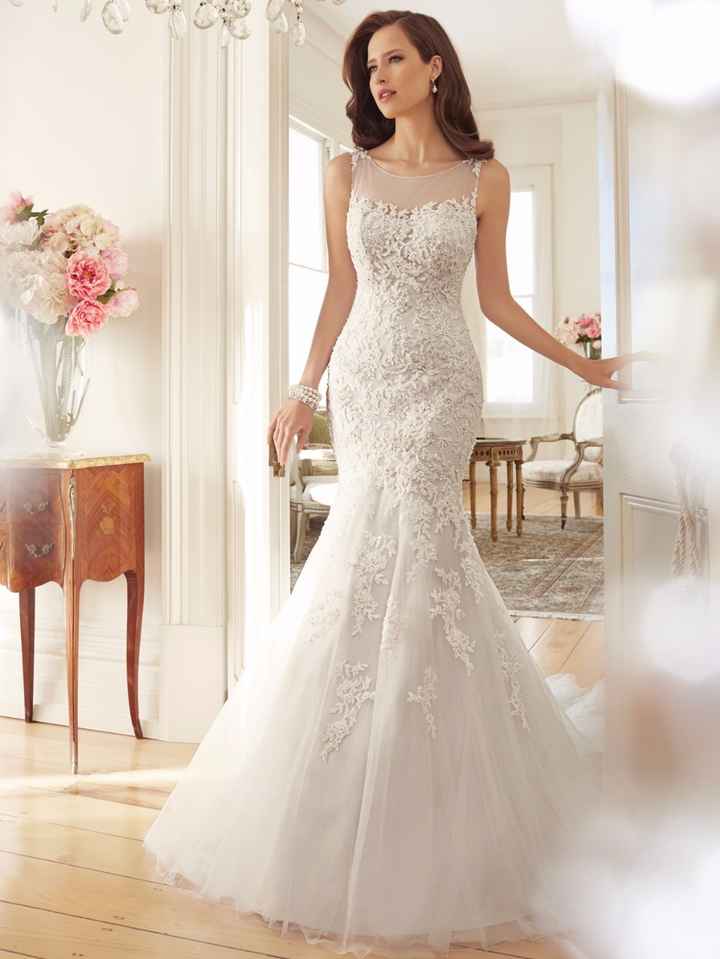 Sophia tolli 2015
