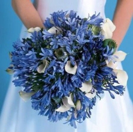 Proposta bouquet odierna...fiori blu - 3