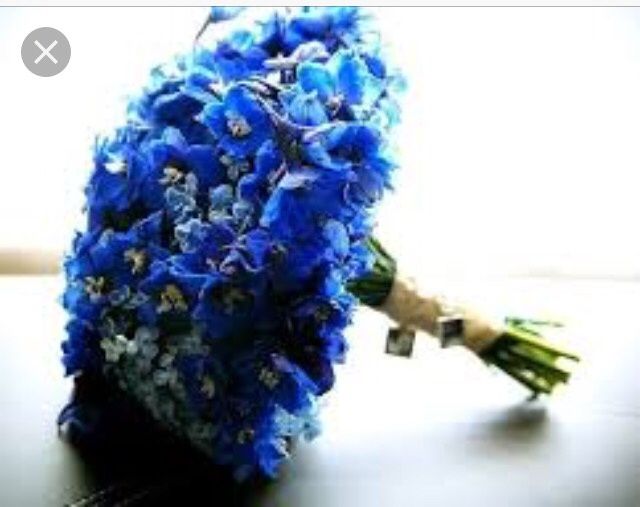 Proposta bouquet odierna...fiori blu - 5