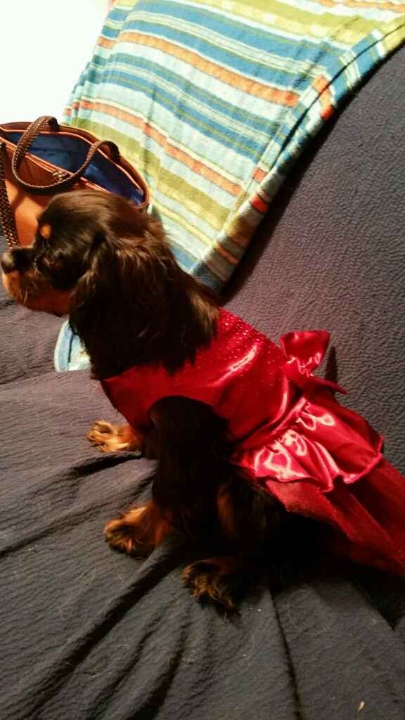 Il mio terzo uomo è bellissimo! - 1