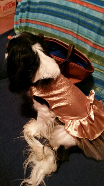 Il mio terzo uomo è bellissimo! - 2